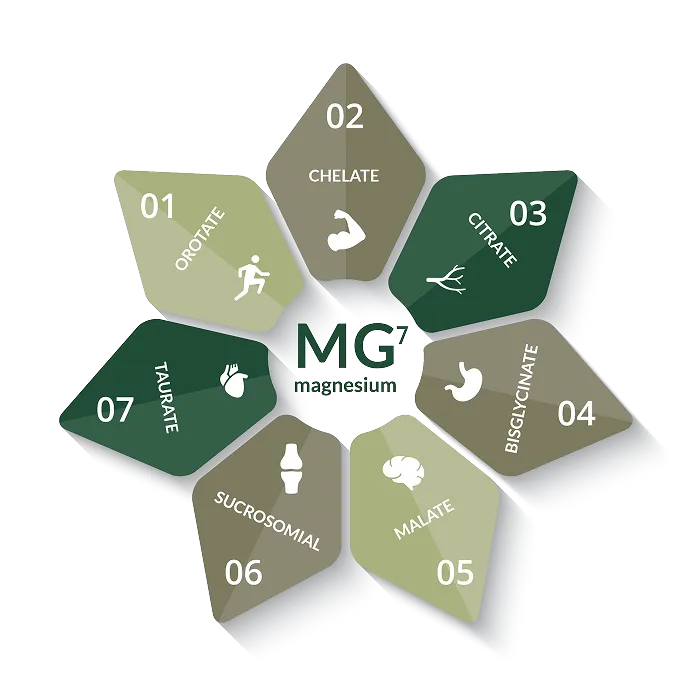 seven forms of magnesium breakthrough