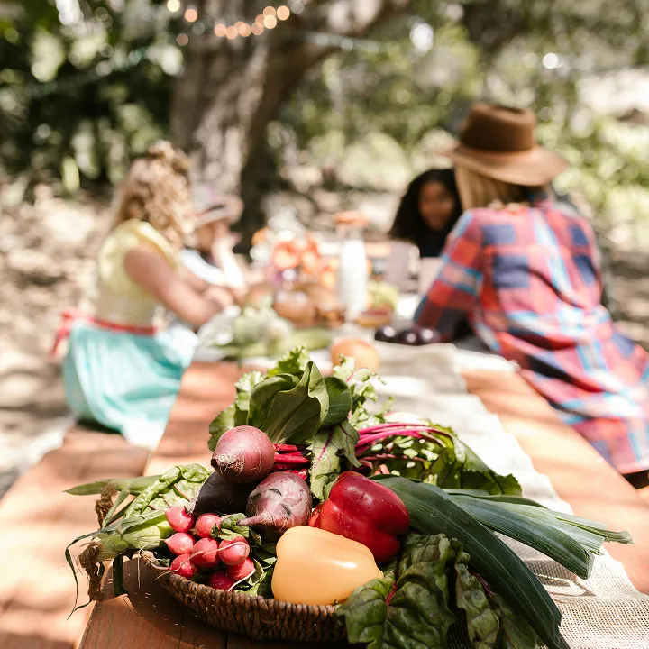 A vibrant assortment of fresh vegetables including radishes, peppers, and leafy greens arranged on a table under a tree