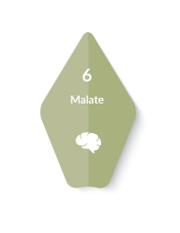 Magnesium Malate