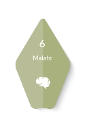 malate.webp