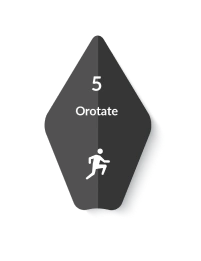 Magnesium Orotate