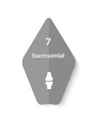 Sucrosomial® Magnesium