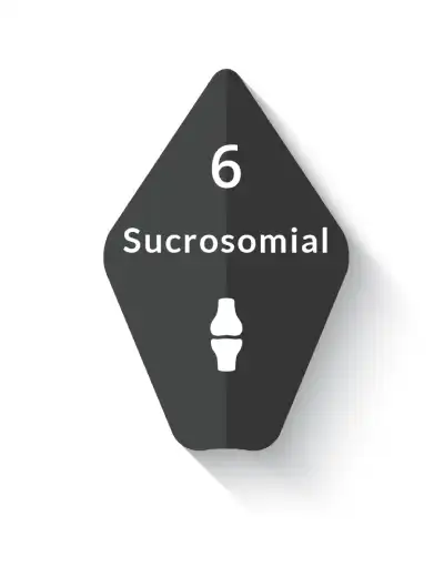 sucrosomial-magnesium-lg.webp