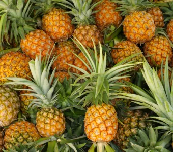 pineapple.webp
