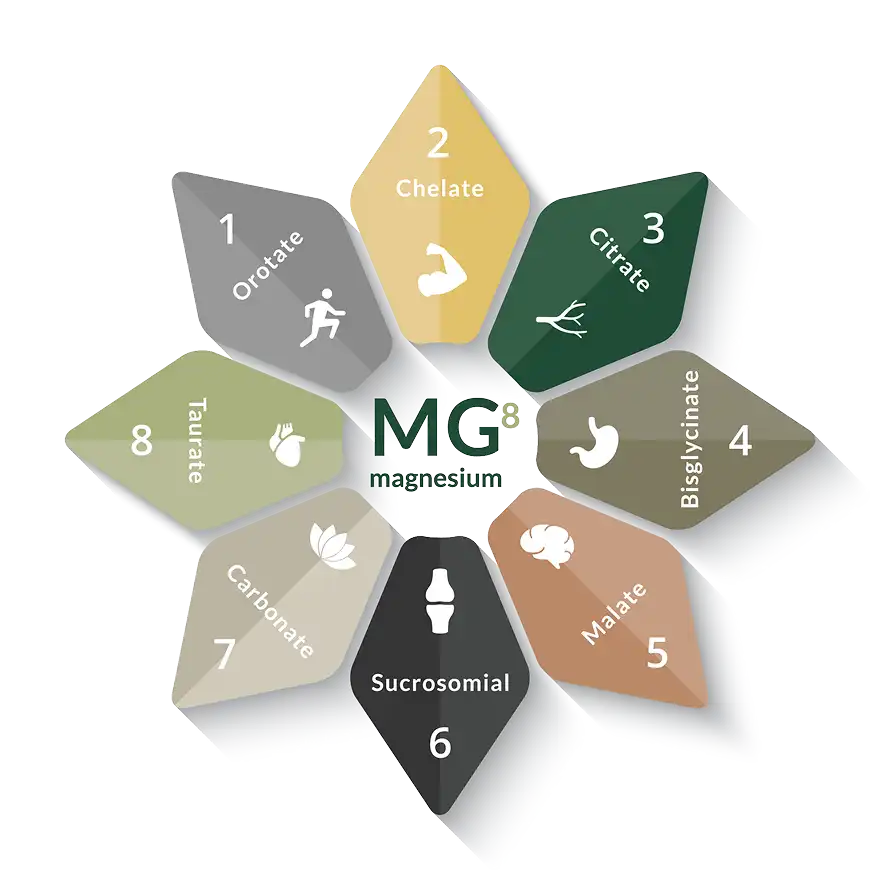 img-spectrumwheel
