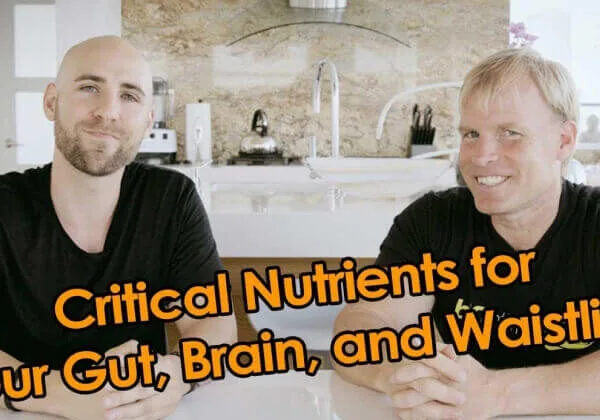 THE 2 CRITICAL NUTRIENTS FOR YOUR GUT, BRAIN, AND WAISTLINE
