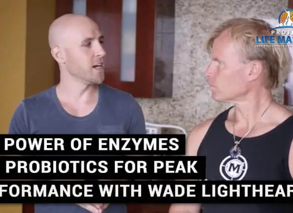 THE POWER OF ENZYMES AND PROBIOTICS FOR PEAK PERFORMANCE