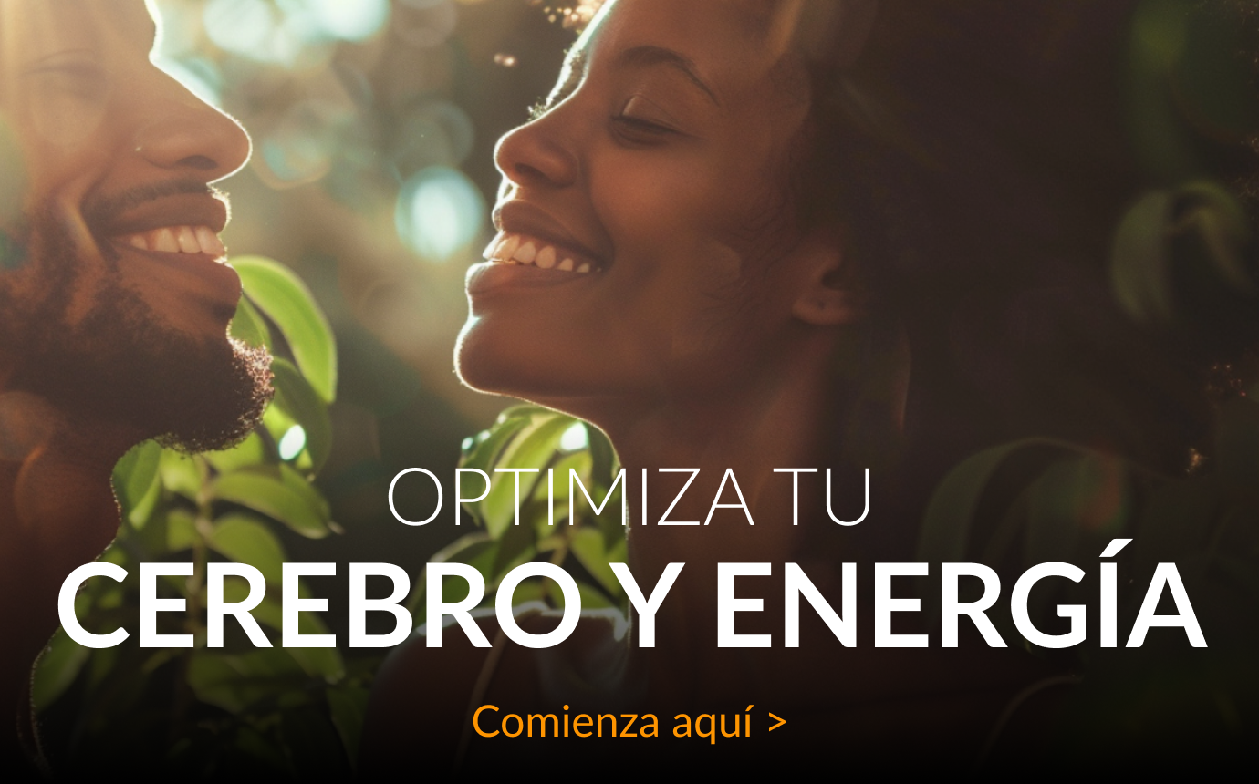 optimize your brain