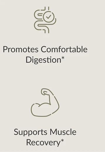 supports faster digestion eliminates bloating