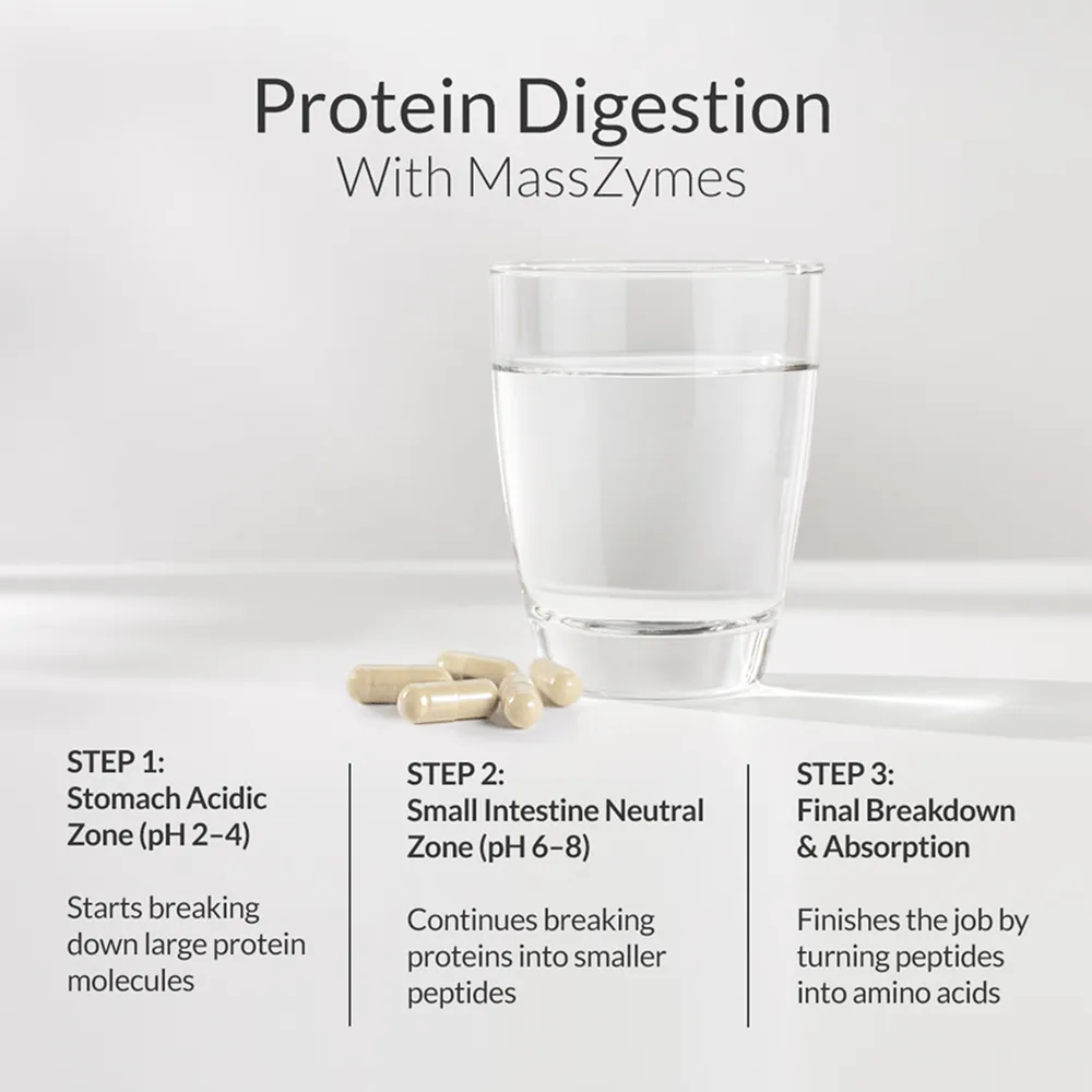 MASSZYMES Proteins