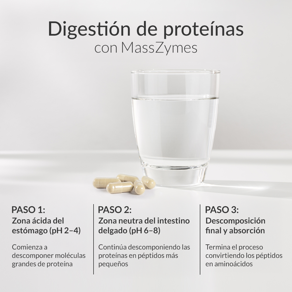 MASSZYMES Enzymes