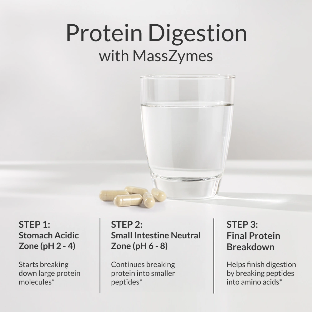MASSZYMES Proteins