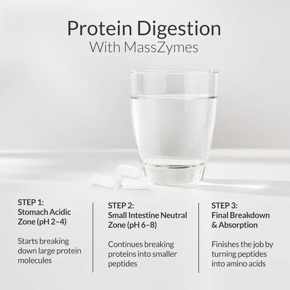 MASSZYMES Proteins