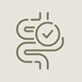 digestion icon