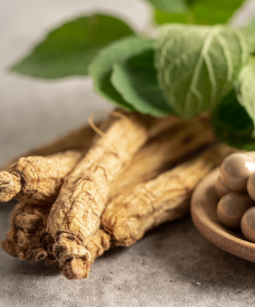 Panax notoginseng