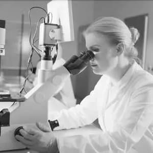 Monia Avdic, PHD