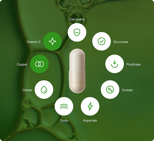 Zinc Breakthrough capsule surrounded by 7 zinc forms, copper, and vitamin C