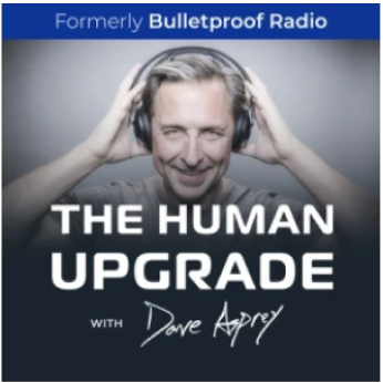 the-human-upgrade