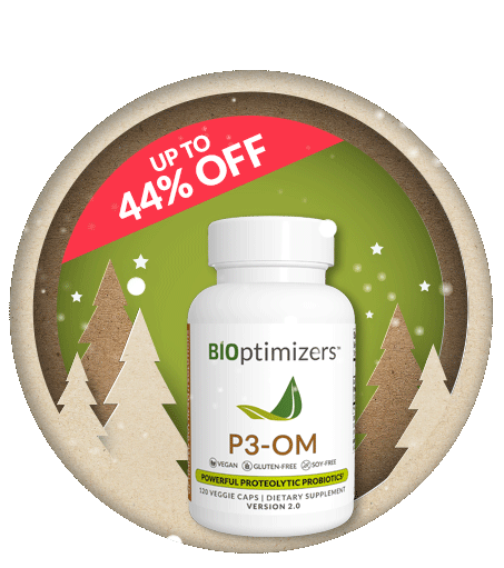 Christmas Offer
