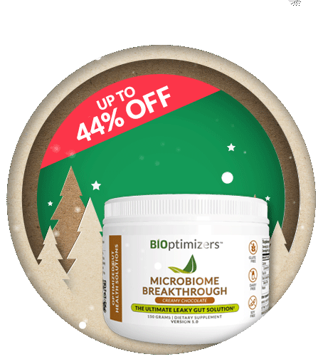 Christmas Offer