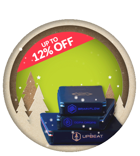 Christmas Offer