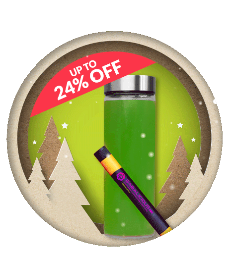 Christmas Offer