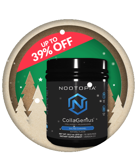 Christmas Offer