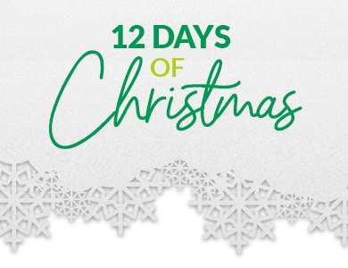 12 Days of Christmas