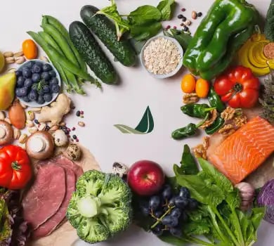 The BIOptimizers Nutrition Coach