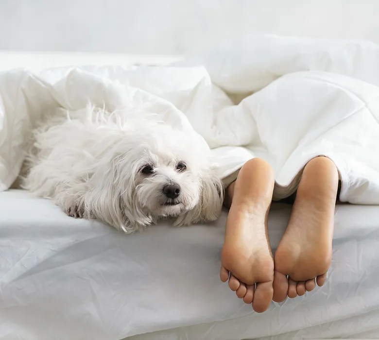 fluffy-dog-and-bare-feet.webp