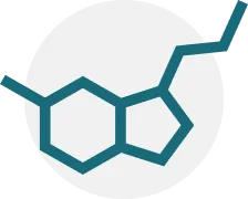 seratonin.webp